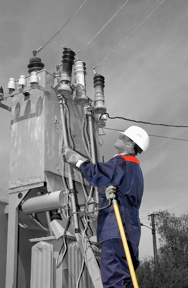 An ordinary week in an electrical firm and the record it leaves